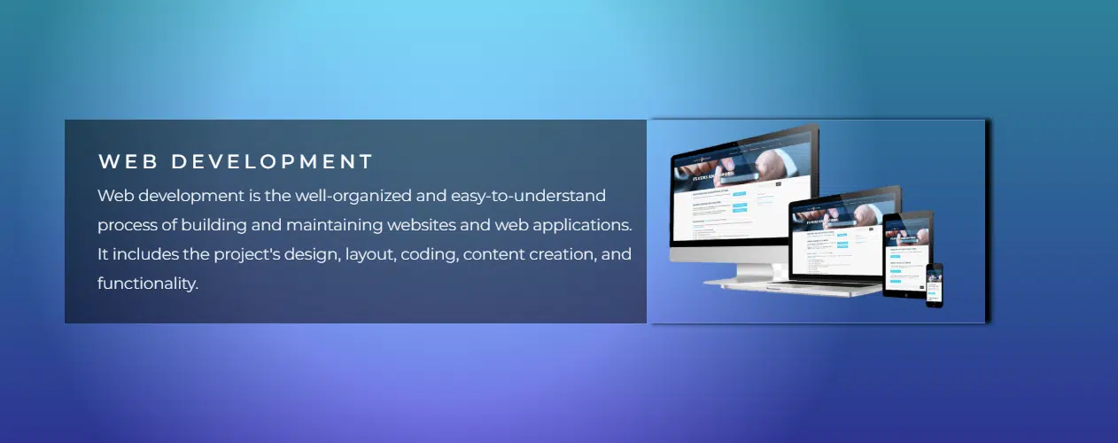 Web Development